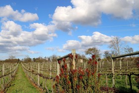 Belfield Farm