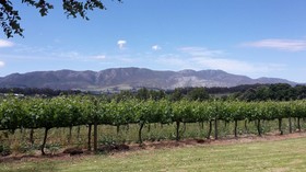 Belfield Farm