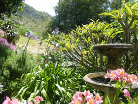 Tranquility Guest House