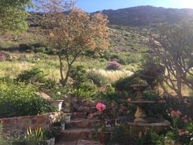 Tranquility Guest House