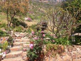 Tranquility Guest House