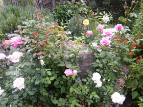 Tranquility Guest House