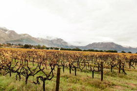 Basse Provence