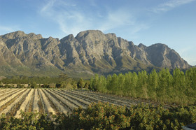 Franschoek Country House & Villas