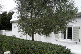 La Maison Blanche