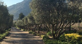La Paradise Franschhoek