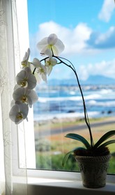 138 Marine Beachfront Guesthouse