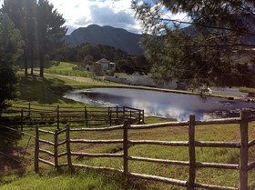 High Season Farm