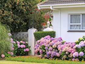 Hortensia Lodge