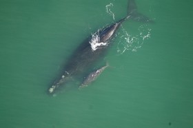 Lavender Manor Guest Lodge