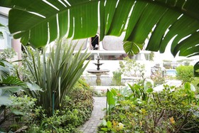 Misty Waves Boutique