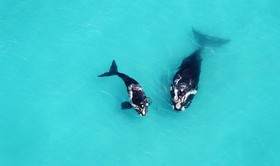 Misty Waves Boutique