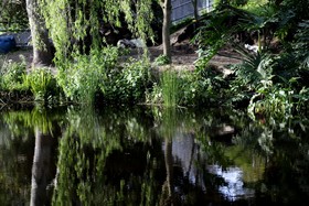 Waterland Lodge