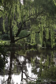 Waterland Lodge