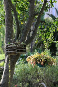 Waterland Lodge
