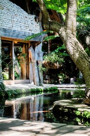 Wonderland Cape Town