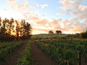 Calais Wine Estate Guesthouse