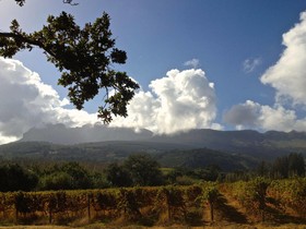 Calais Wine Estate Guesthouse