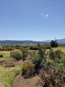 Joie de Vivre Country House