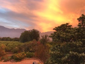 Palmiet Valley Estate