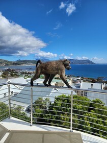 Boulders Blue Bed And Breakfast