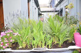 Central Hotel Guest House