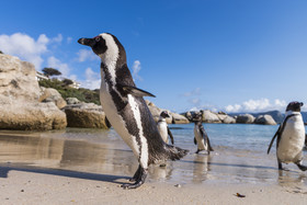 Simon’s Town Quayside Hotel