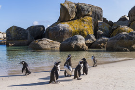 Simon’s Town Quayside Hotel