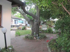 40 Winks Accommodation