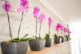 Lord Charles Hotel, Somerset West, a Tribute Portfolio Hotel