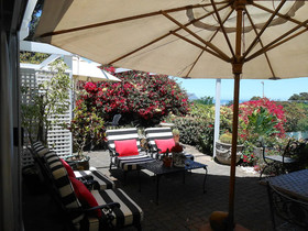 Roosboom Luxury Guest Apartments