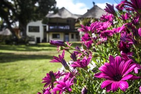 Winelands Villa Guesthouse