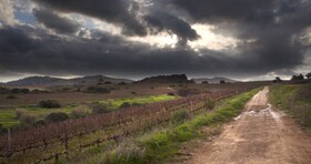 Asara Wine Estate & Hotel