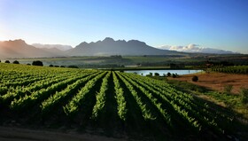 Asara Wine Estate & Hotel