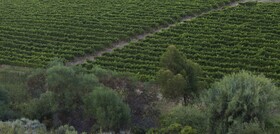 Asara Wine Estate & Hotel