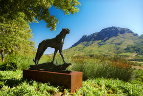 Delaire Graff Estate