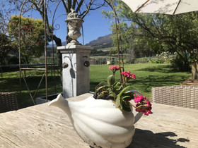 In The Vine - Country Manor