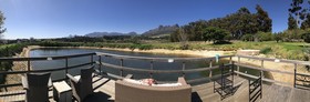 In The Vine - Country Manor