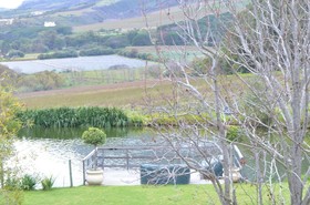 In The Vine - Country Manor
