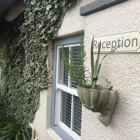 In The Vine - Country Manor