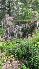 Languedoc Farm