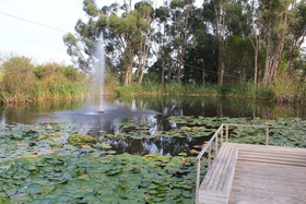 Le Jardin