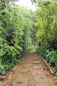Le Jardin
