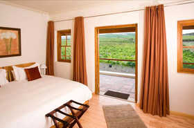 Lovane Boutique Wine Estate and Guest House