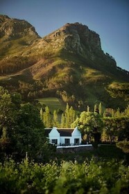 MolenVliet Oosthuizen Family Vineyards