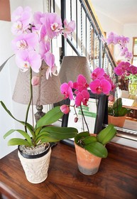 Penelope's Guesthouse