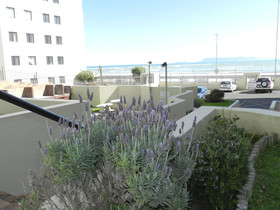 Silver Lining Beach Apartment