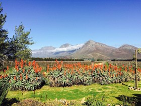 Seven Oaks Vineyard Cottages