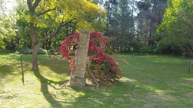 Strath Breede House and Cottage