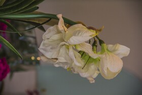 La Loggia B&B